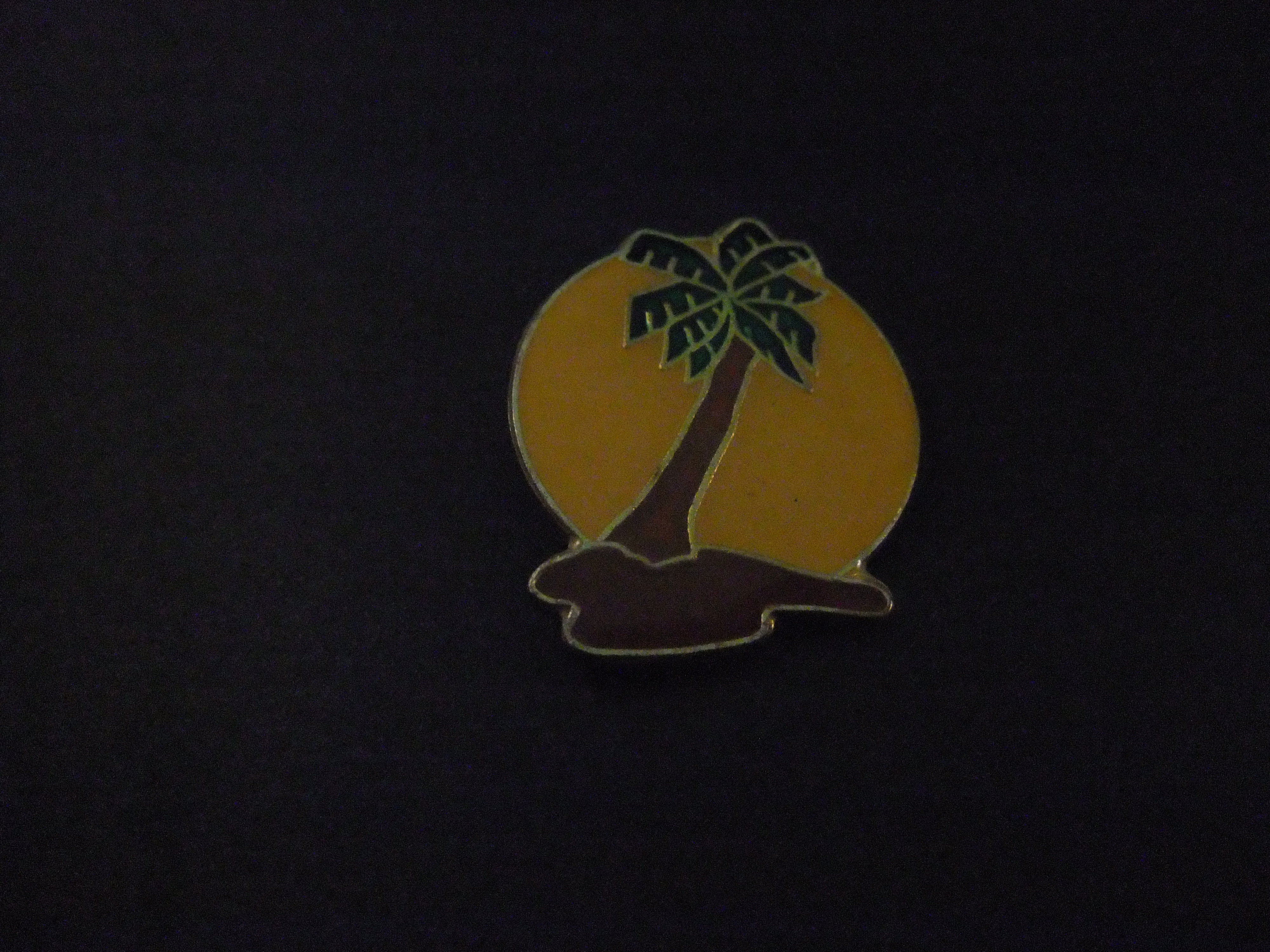 Palmboom op onbewoond eiland